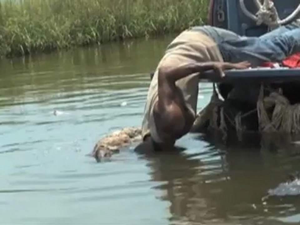 Beasts Of The Southern Wild - Dwight Featurette