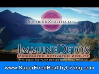 Zeolite (Organic Superfoods)