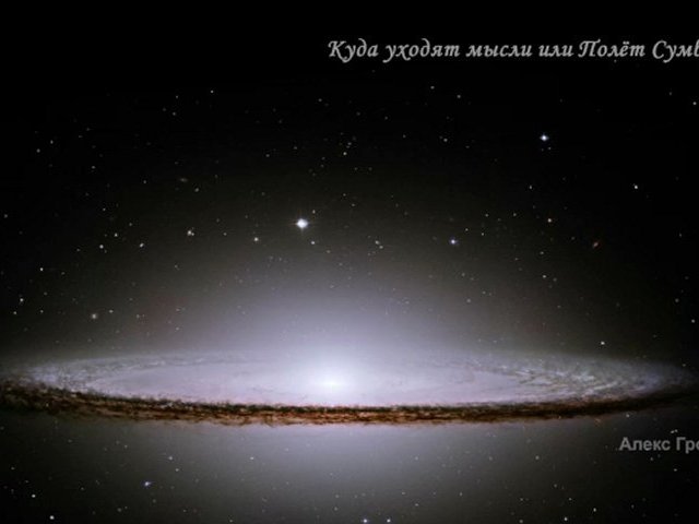 Куда уходят мысли или Полет Сумбурной