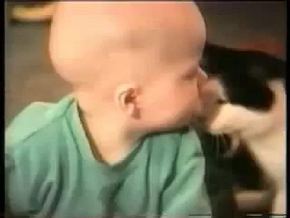 Kedi İle Köpeklerin Yaramazlıklarının Olumsuz Ama Komik Sonuçları