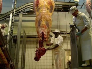 Le Complexe de la Viande - Claudio Cavallari, Emmanuel Commenges et Jonathan Macias