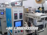 edible oil,shampoo,sauce,ketchup pouch packing machine