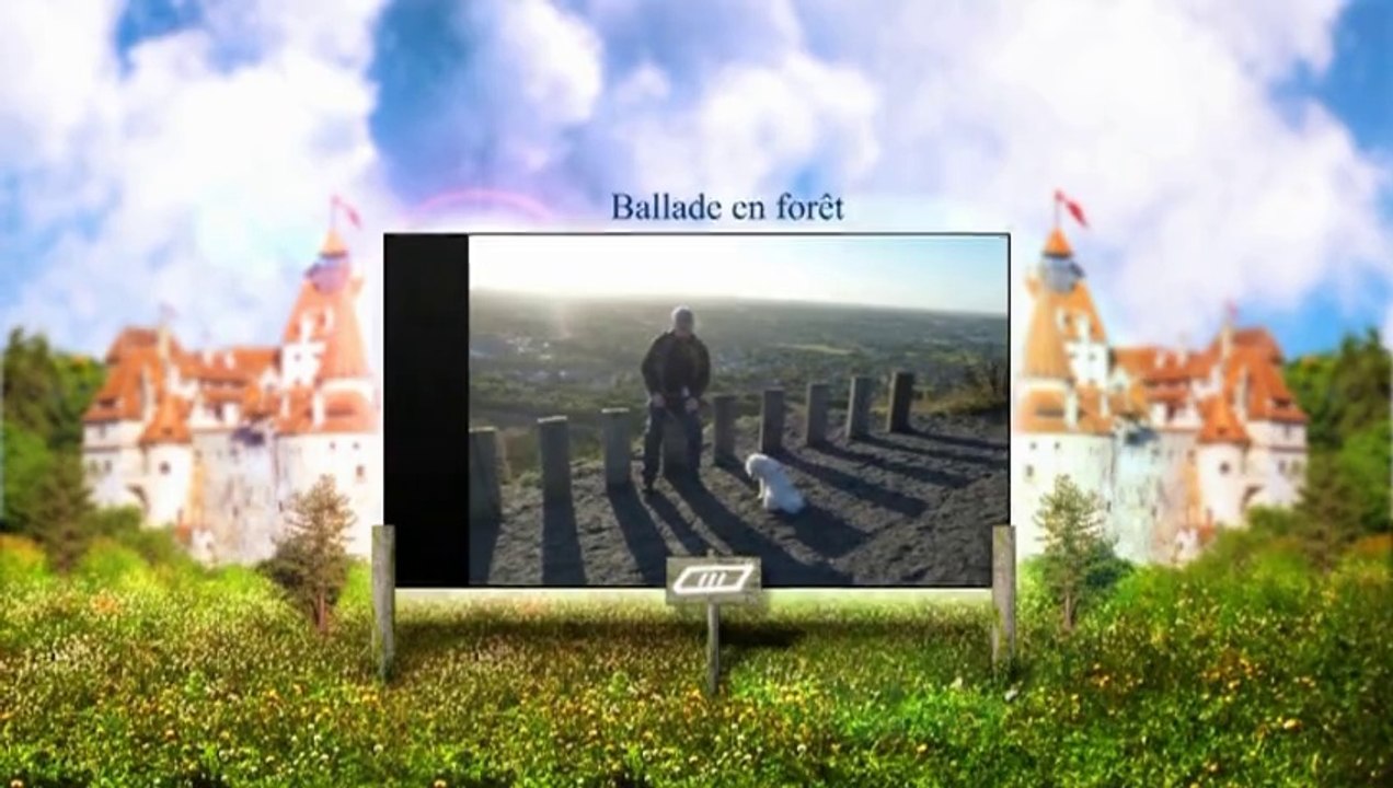 ballade en foret