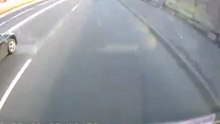Самый везучий пес на свете