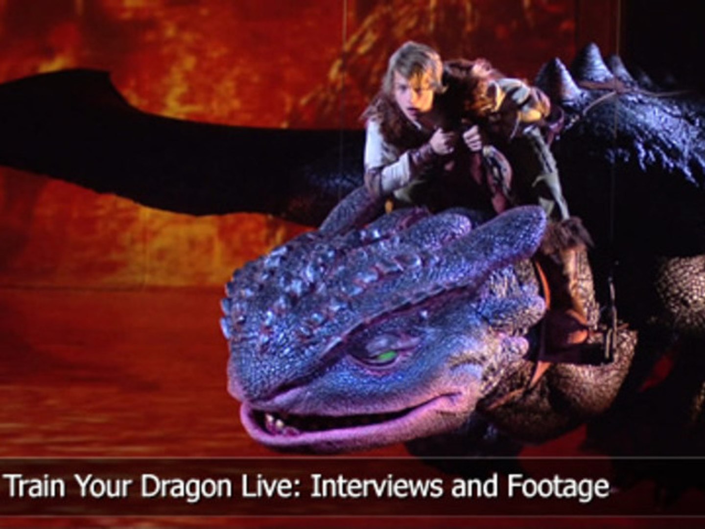 How to Train Your Dragon Live Spectacular Exclusive Interviews and Footage