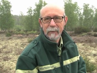 Rambouillet : Les lichens de la lande de Lamballe
