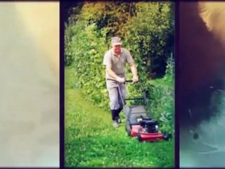 Betcha Grass On It (850) 496-6201