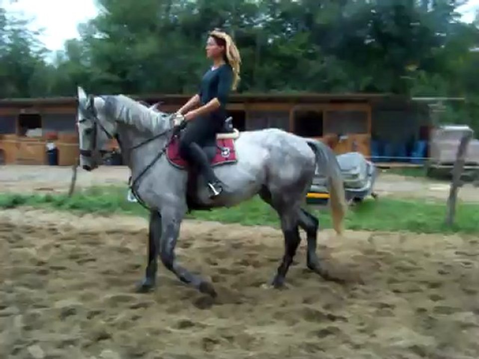 videos 023