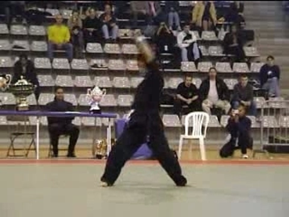 kung fu de folie