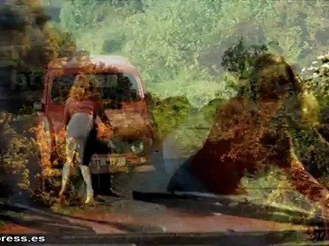 Amy Adams encarnará a Janis Joplin