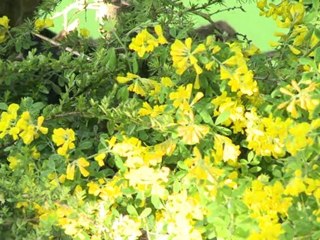 Adeline Quemper reportage 2/4 Paysagiste Foire expo Nantes