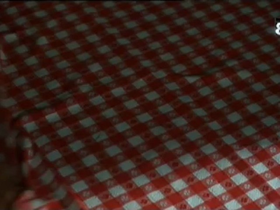 D8: Générique de la série Levrage (2012)