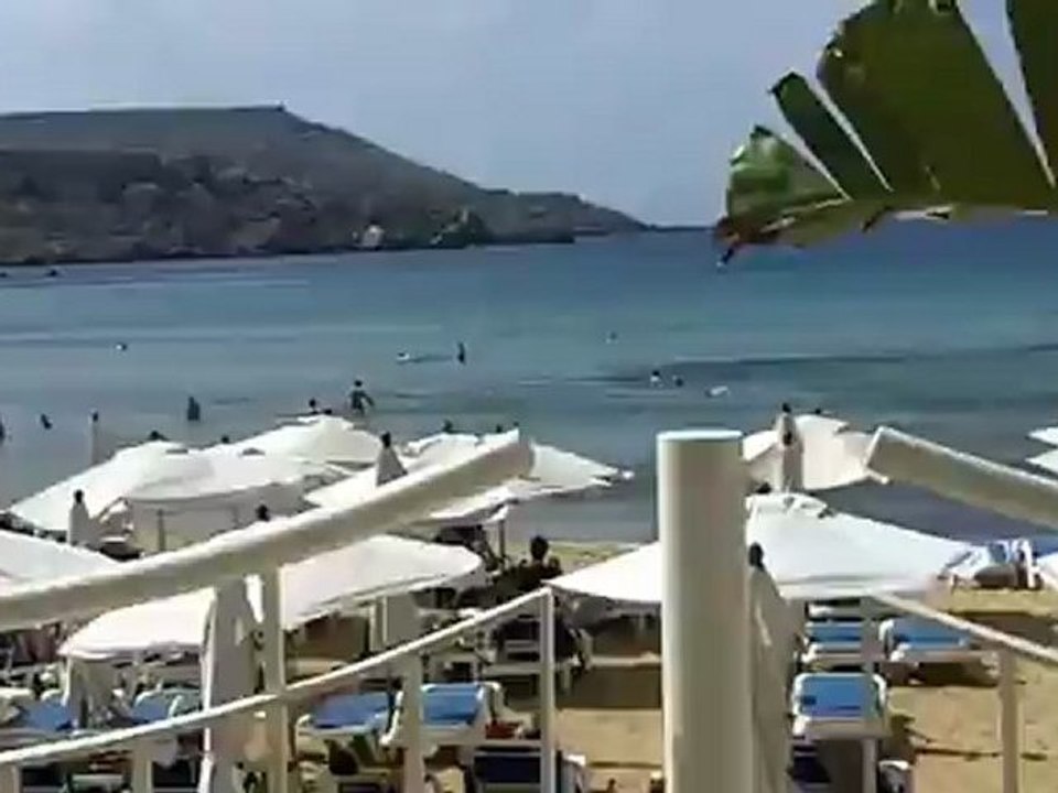 Abwechslung ist das A und O in unserem Leben