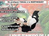 Spot TV ouverture saison 2012-2013_2-Partage YouTube