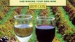 Cooking Book Review: From Vines to Wines: The Complete Guide to Growing Grapes and Making Your Own Wine by Jeff Cox