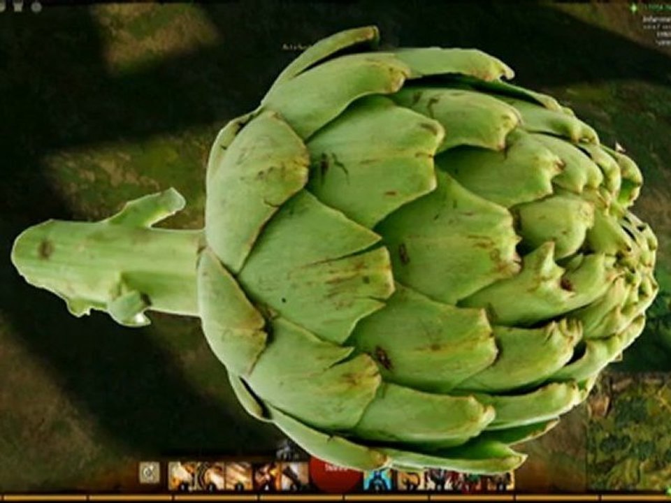 Comment passer son lvl 80 avec classe sur Guild Wars 2 ?