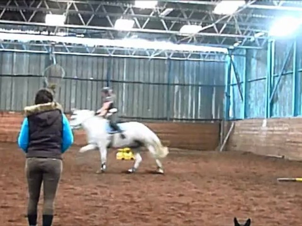 saut seance 3 poney et 2 pour moi
