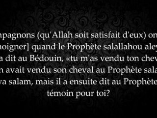La règle du thiqa dans les affaires mondaines - cheikh as Salimi