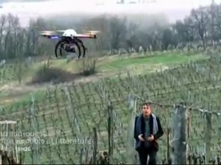 CAP SUD-OUEST  |  LE BORDELAIS