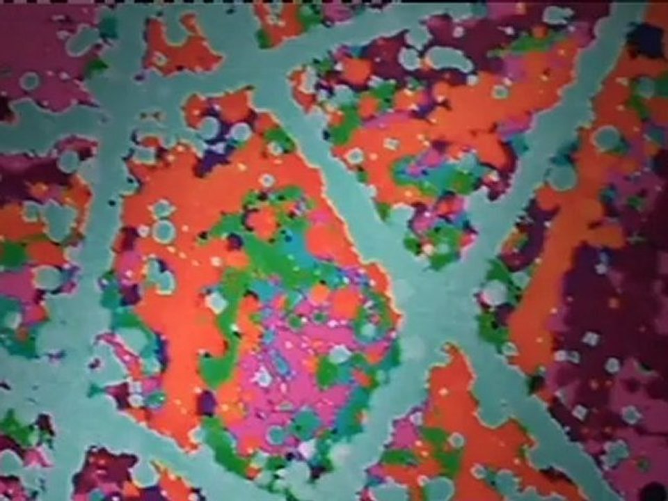 EFESTILO Personalidades del rock muestran su faceta de artistas plásticos