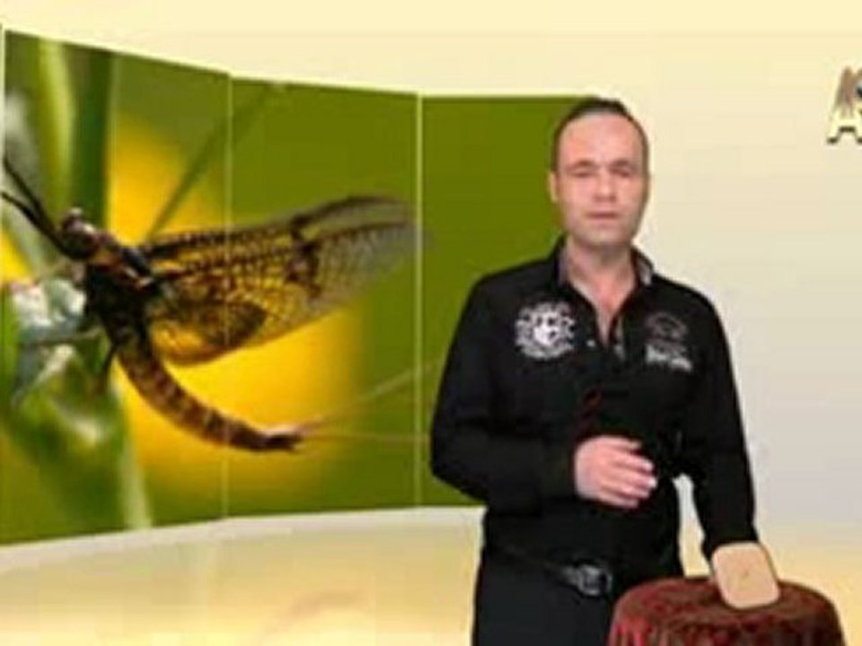 MİLYONLARCA YILDIR DEĞİŞMEYEN MAYIS SİNEKLERİ