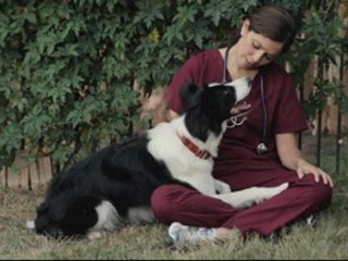 Angel Dog (2011) online watch www.hdmoviespool.com