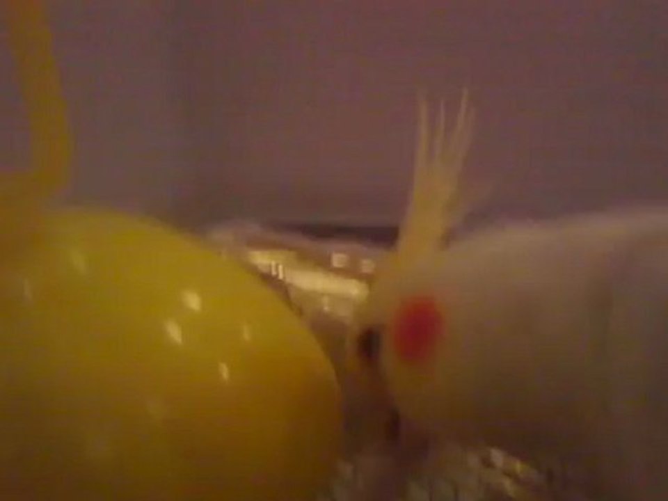 Sultan :)