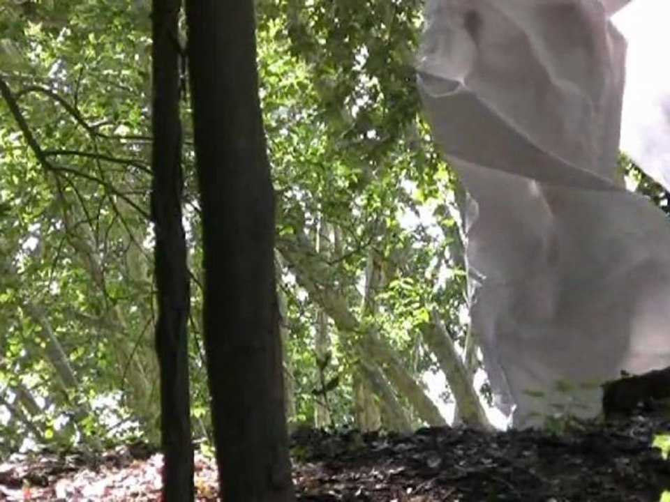 LE PAPIER
