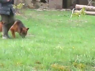 Petit travail avec Furka