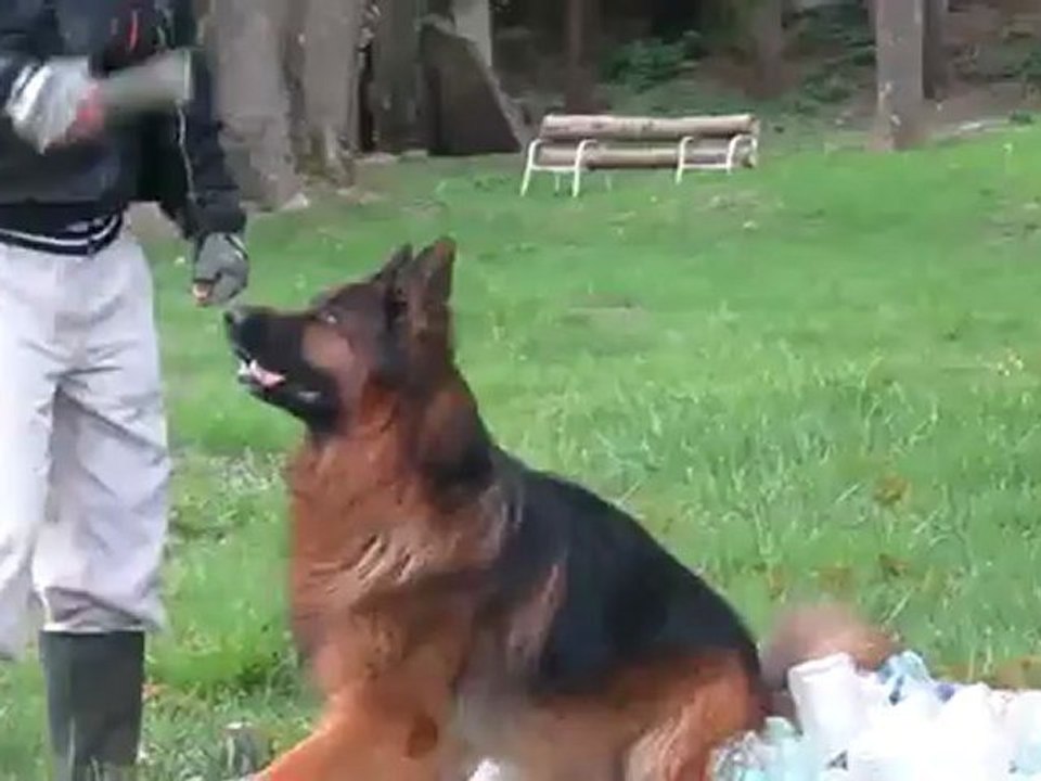 cyber en plein exercice d'obéissance