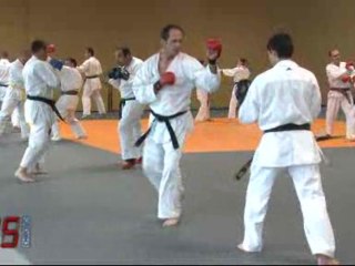 A la découverte du Karaté contact (Vendée)