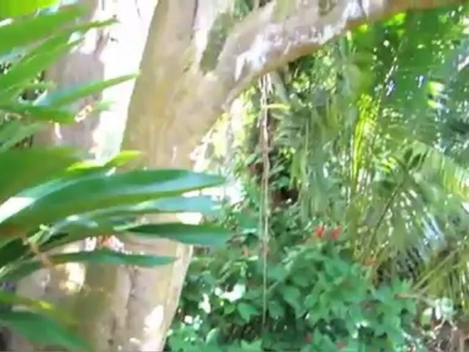 50 Dowsett Ave, Honolulu, HI