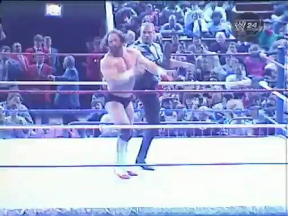 Big Bossman vs. Hercules(1991.01.21 MSG)