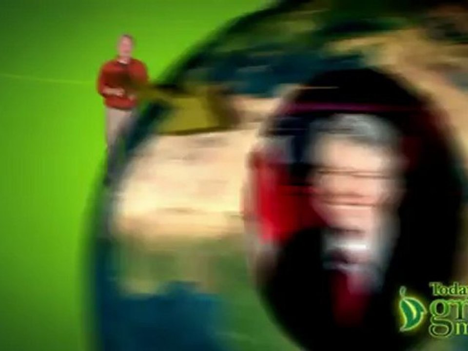 OW!  Skeeter Control