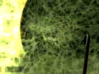 Half Life ² episode two gameplay 2