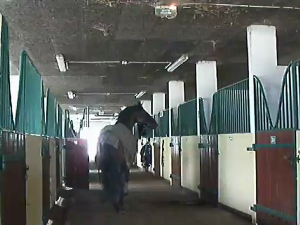 Geraldine ma prof qui rentre son cheval dans son box