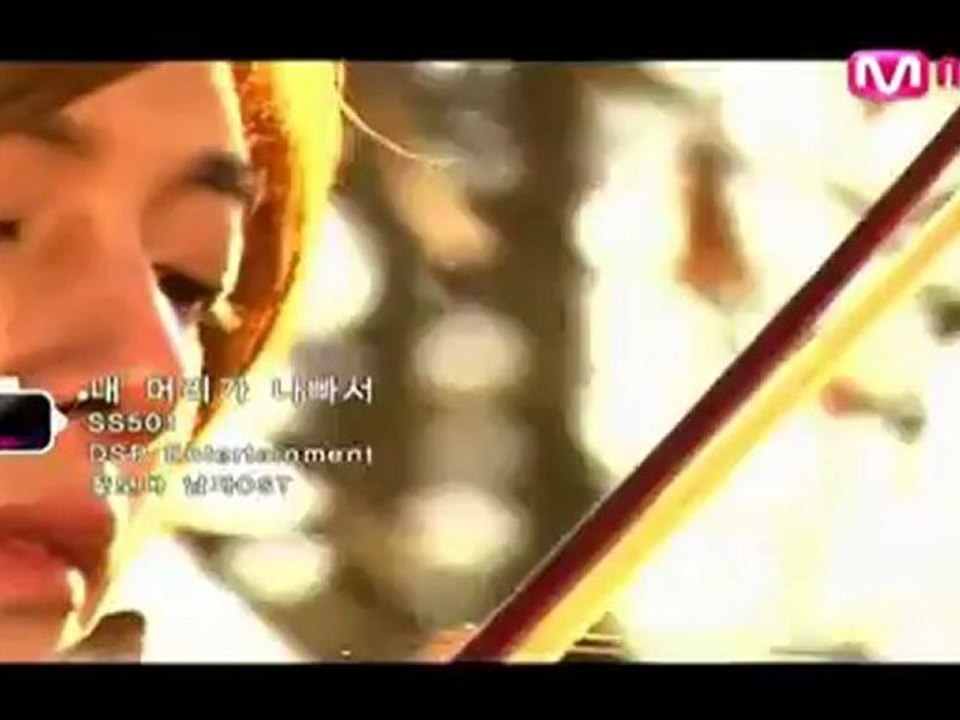 Because I'm Stupid [VietSub] - SS501