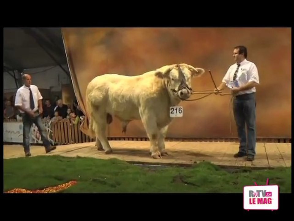 La fête du Charolais 2012 s'annonce belle