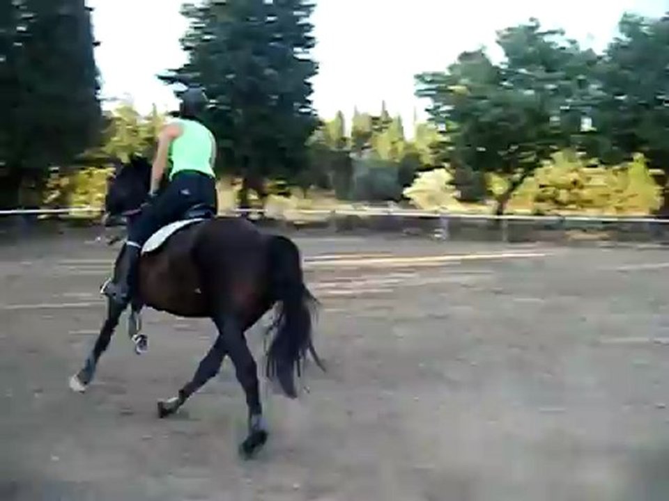 Quilda Obstacle 18 octobre
