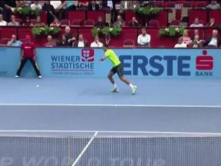 Vienne - Match de fou entre Del Potro et Brands