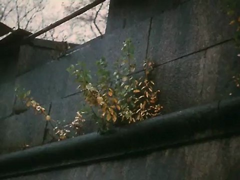 Самые красивые корабли 2-я серия