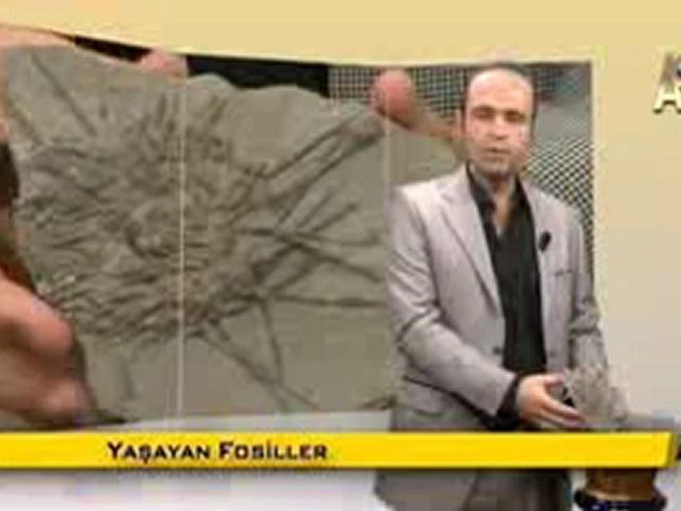 MİLYONLARCA YILDIR DEĞİŞMEYEN DENİZ KESTANELERİ