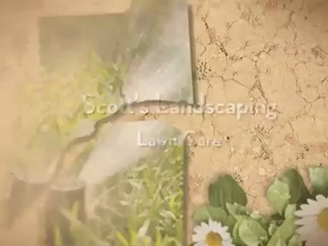 Scott's Landscaping Lawn Care (615) 969-9112