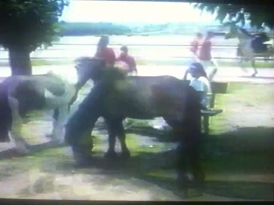 Arnaud TF1 Master Paris 1992