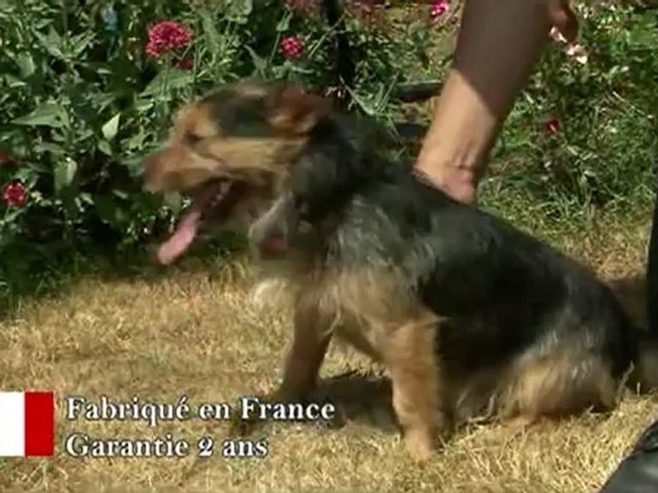 PACK_DUO_Francais_640x480