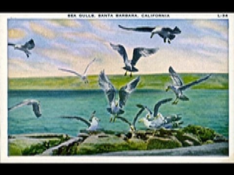 Patrick et son orchestre de danse - Seagulls