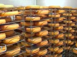 A la découverte de la Mizotte (Saint-Michel en l’Herm)