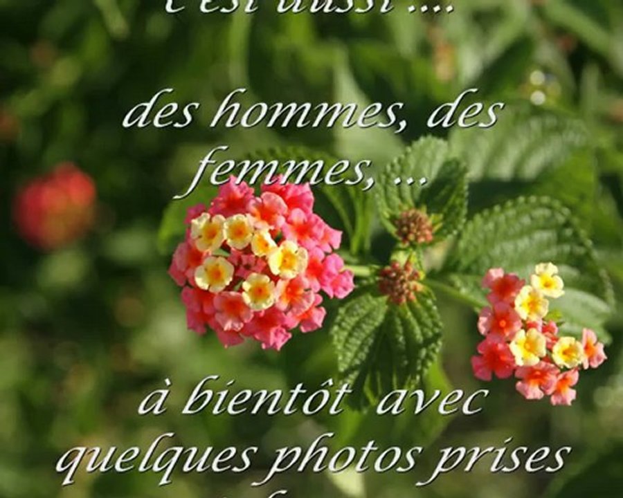 Introduction à SLANO en Croatien