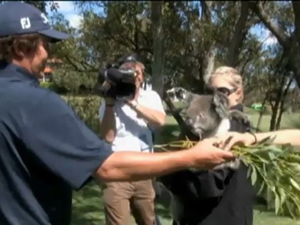 Koala auf dem golfplatz: schwartzel und dufner bekommen besuch