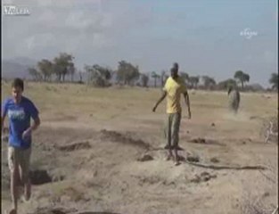 Bebek fili düştüğü çukurdan böyle kurtardılar